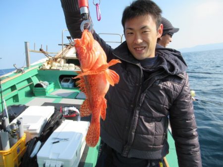 真祐丸 (しんゆうまる) 釣果