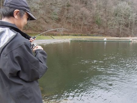 平谷湖フィッシングスポット 釣果