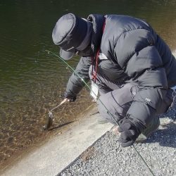 平谷湖フィッシングスポット 釣果