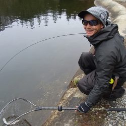 平谷湖フィッシングスポット 釣果