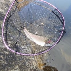 平谷湖フィッシングスポット 釣果