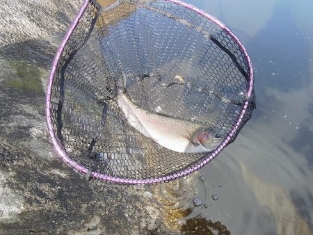 平谷湖フィッシングスポット 釣果