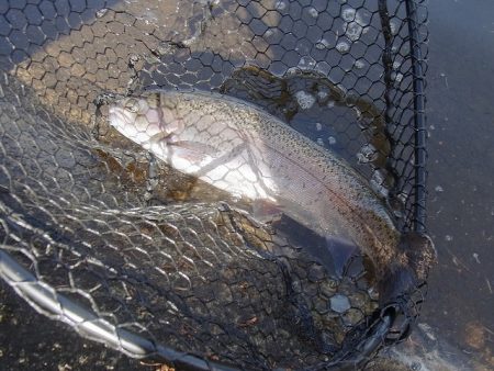 平谷湖フィッシングスポット 釣果