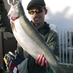 としまえんフィッシングエリア 釣果