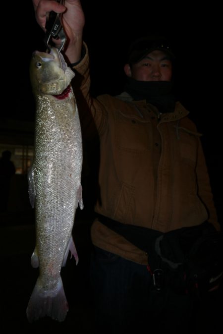 としまえんフィッシングエリア 釣果