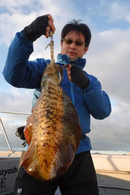 ブルースフィッシングサービス 釣果