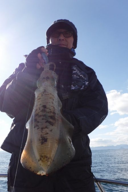 ブルースフィッシングサービス 釣果