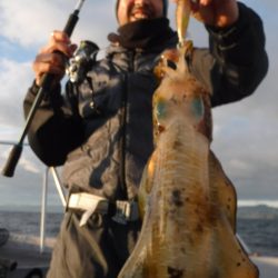 ブルースフィッシングサービス 釣果