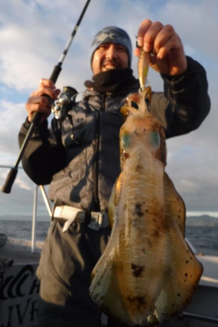 ブルースフィッシングサービス 釣果