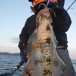 ブルースフィッシングサービス 釣果