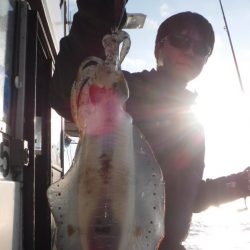 ブルースフィッシングサービス 釣果