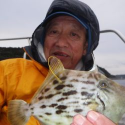 ブルースフィッシングサービス 釣果