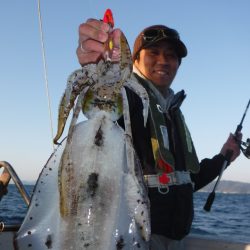 ブルースフィッシングサービス 釣果