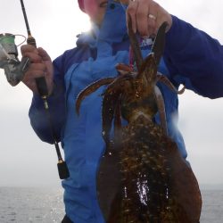 ブルースフィッシングサービス 釣果