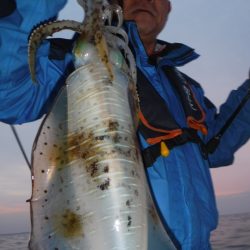 ブルースフィッシングサービス 釣果