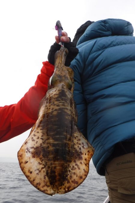 ブルースフィッシングサービス 釣果