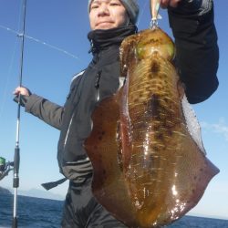 ブルースフィッシングサービス 釣果