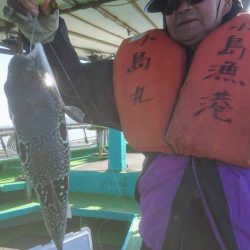 小島丸 釣果