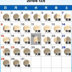 龍神丸（鹿児島） 釣果