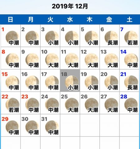 龍神丸（鹿児島） 釣果