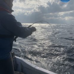幕島丸 釣果