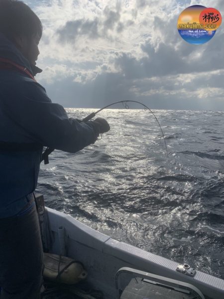 幕島丸 釣果