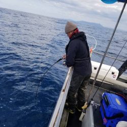 幕島丸 釣果