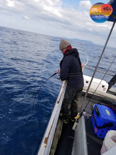 幕島丸 釣果