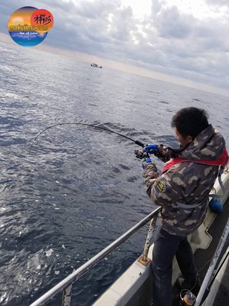 幕島丸 釣果