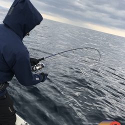 幕島丸 釣果