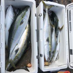 幕島丸 釣果