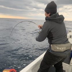 幕島丸 釣果