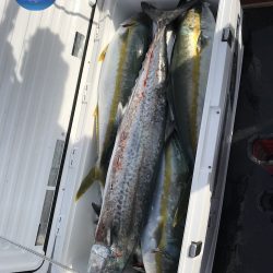 幕島丸 釣果