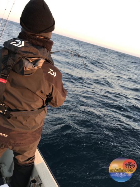 幕島丸 釣果