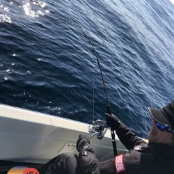 幕島丸 釣果