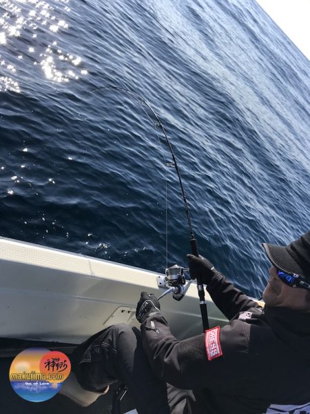 幕島丸 釣果