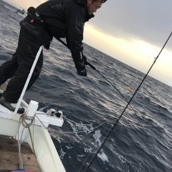 幕島丸 釣果