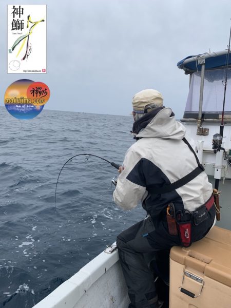 幕島丸 釣果