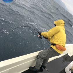 幕島丸 釣果