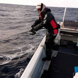 幕島丸 釣果