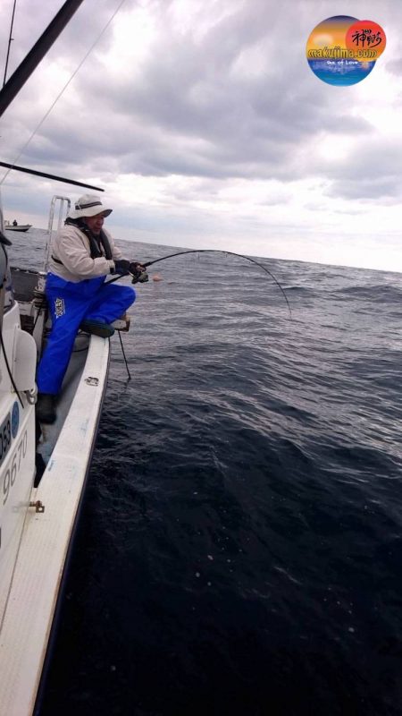 幕島丸 釣果