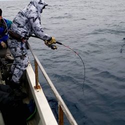 幕島丸 釣果