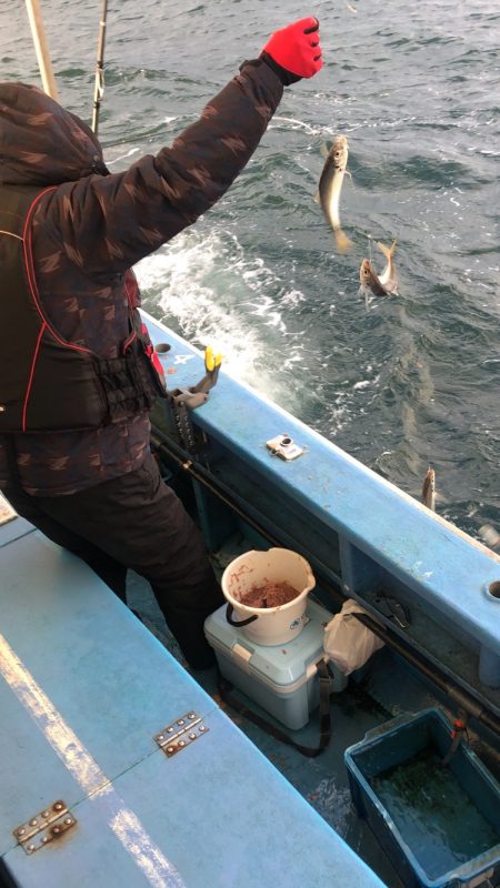 ヤザワ渡船 釣果