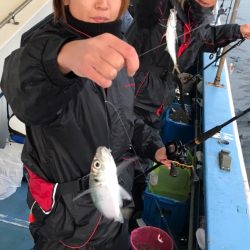 ヤザワ渡船 釣果