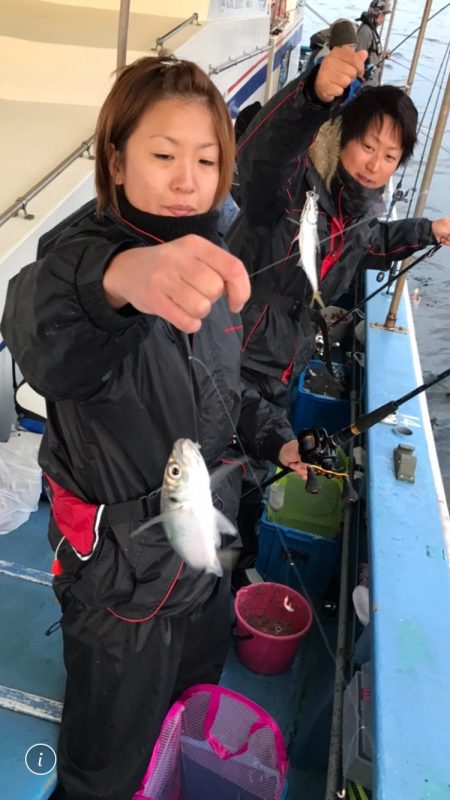 ヤザワ渡船 釣果