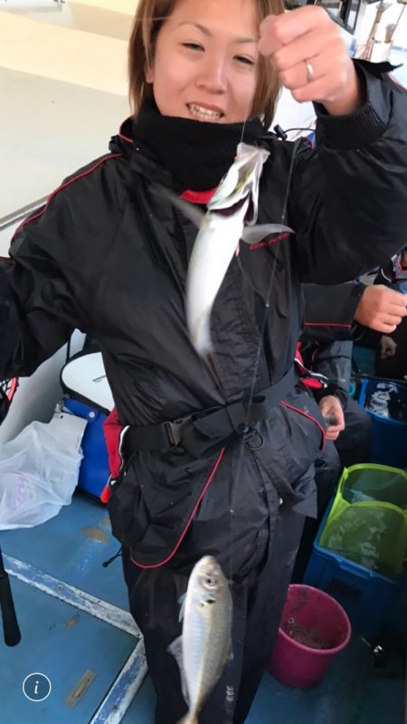 ヤザワ渡船 釣果