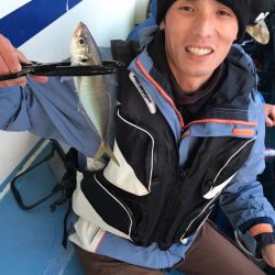 ヤザワ渡船 釣果