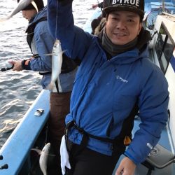 ヤザワ渡船 釣果