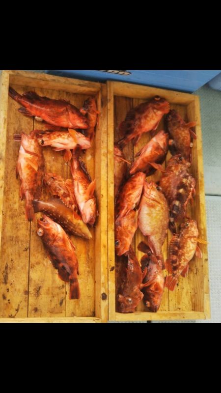 岡田釣船 八英丸 釣果