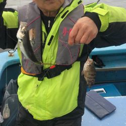 ヤザワ渡船 釣果